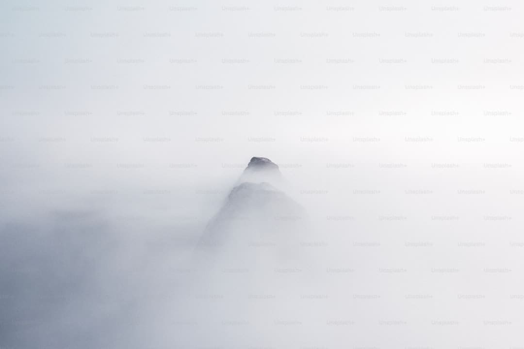http://n.sinaimg.cn/translate/w930h523/20180311/2qwj-fxpwyhw9089000.jpg?zdy